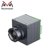 384x288 Vox Thermal Imaging Core Compact Low Power High Følsomhedsdesign til droner Sikkerhed og industriel inspektion